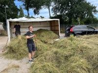 Vogelwiese Eisbaeren 2023